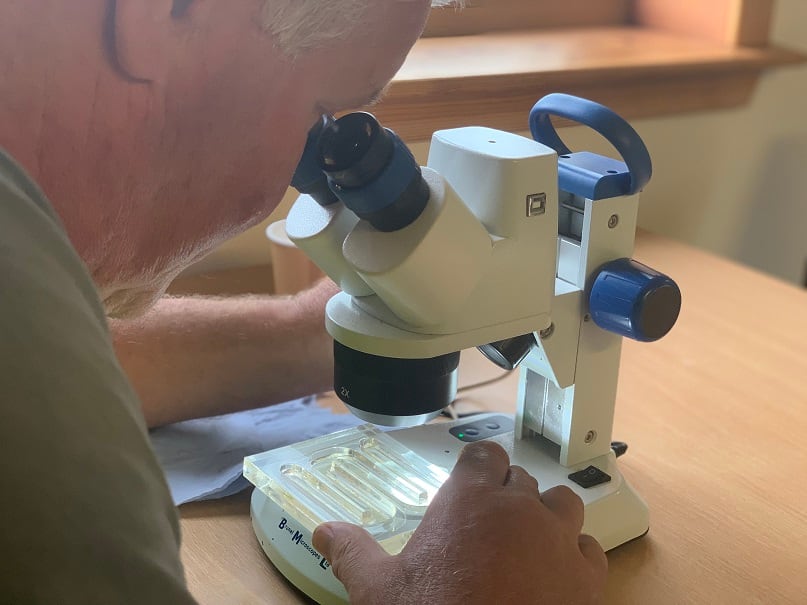 manager-looking-for-jellyfish-in-the-microscope-at-Ardnish.jpg