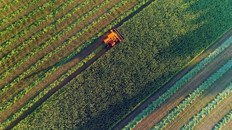 Brazil still offers ‘significant’ opportunities for foreign investment to help meet fertiliser demand