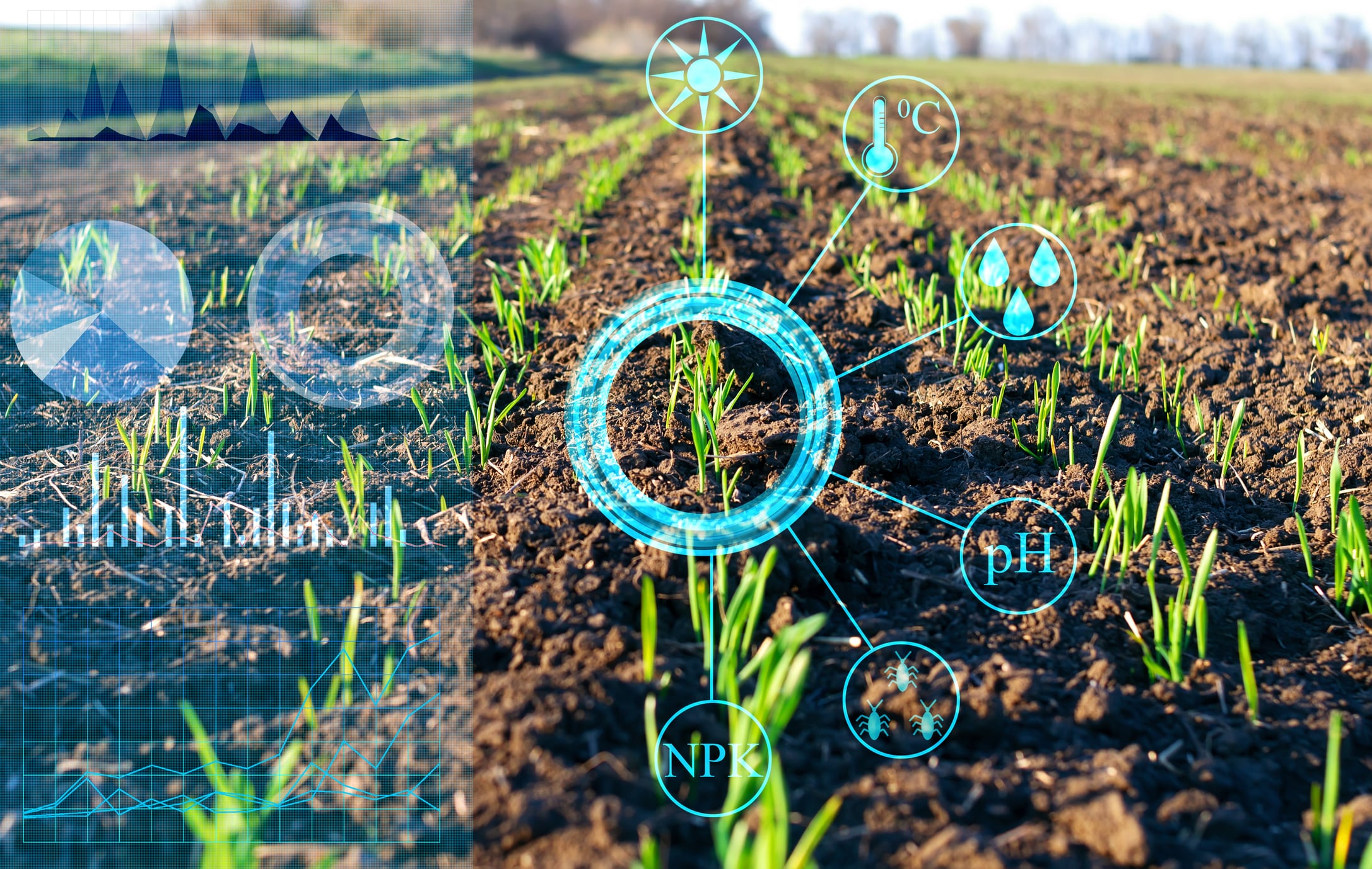 WATCH: Enko’s Tom Meade explains how AI can make better ag biologicals  