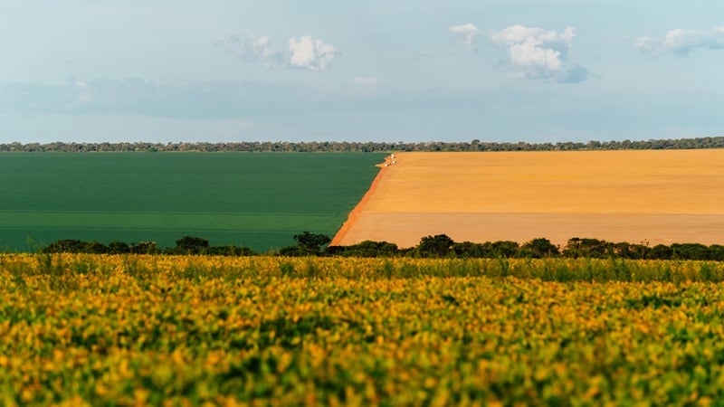 Landscape of cultivated fields in Brazil