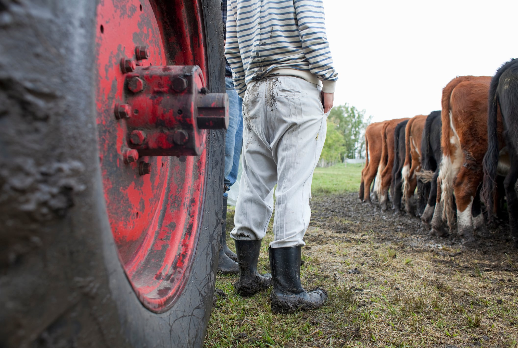 Sky-high export taxes 10 years ago created a squeeze on farmer margins that limits their ability to adopt new technologies to this day.