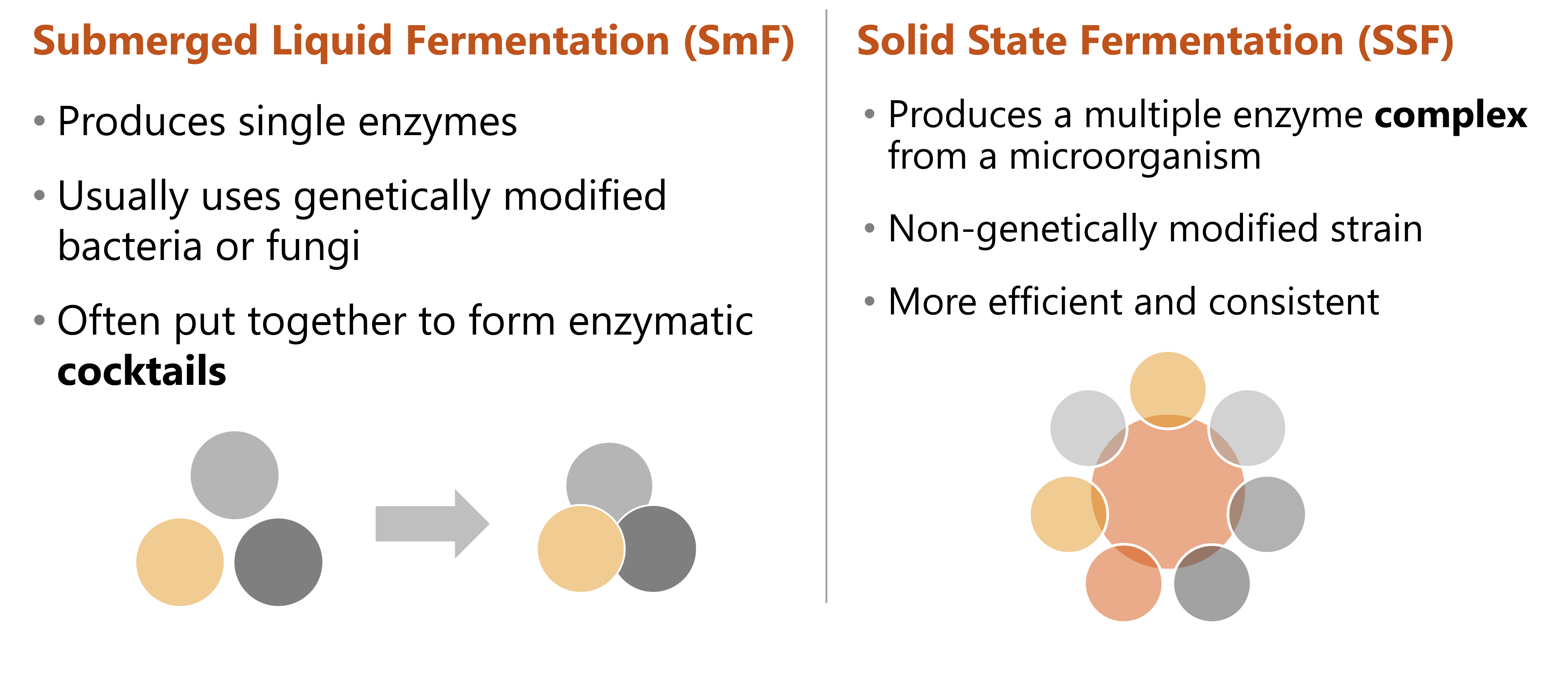 Figure-3.-Two-methods-for-producing-enzymes.png