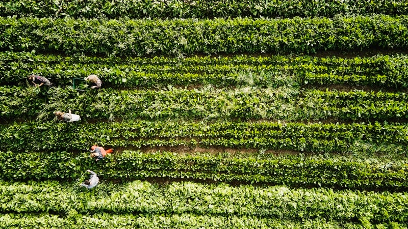 The shift to regen ag will require a rethink in capital for farmers.