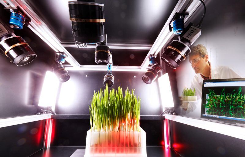 Herbicide testing at Bayer, whose involvement in the BioTransitions programme is designed to support agri‑food biotech start-ups navigating the scale‑up phase.