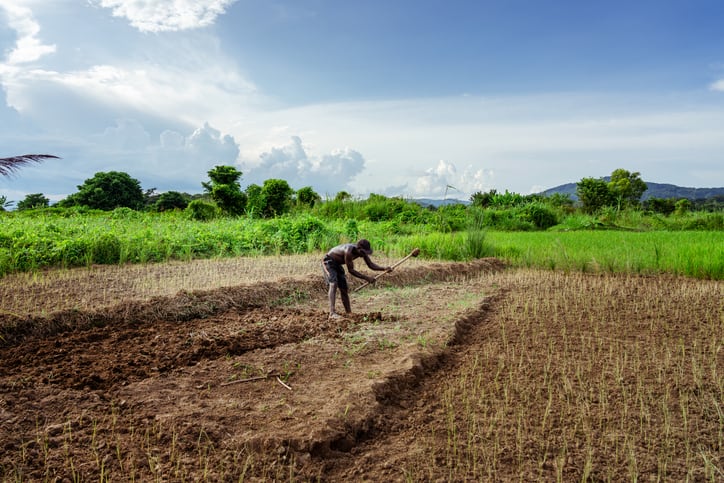 Why financing smallholder farmers matters... experts discuss