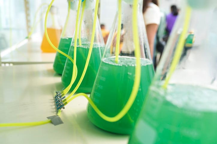 GettyImages-algae-testing.jpg