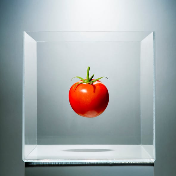 Agtech Aha! Moments: From using white noise to grow fungi to pesticide sensors for tomatoes