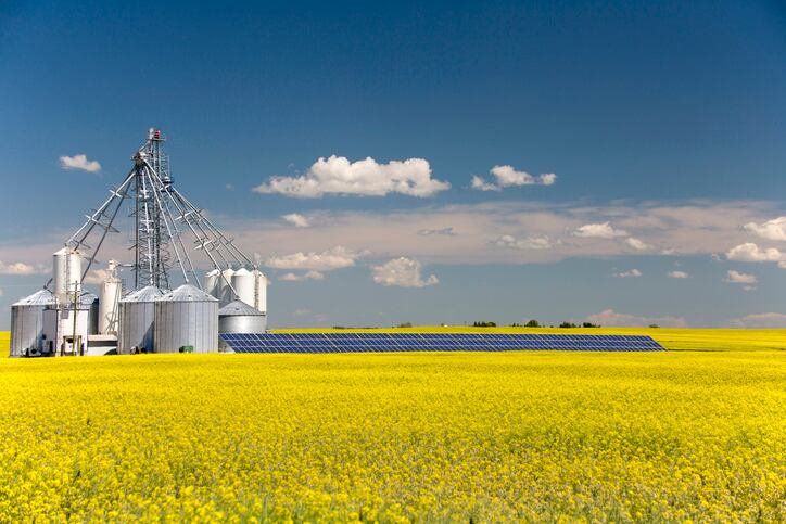 BASF-is-looking-to-enable-canola-production-under-harsher-conditions.jpg