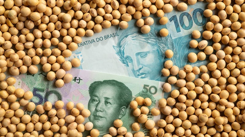 A Brazilian Real and a Chinese Yuan covered with soybeans