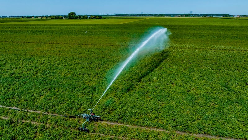 A sprayer in a field