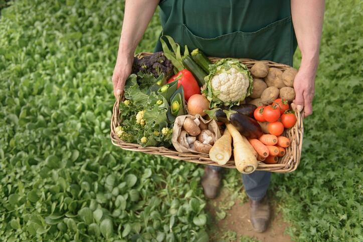 Fresh-calls-to-clear-up-confusion-between-organic-and-regenerative-farming.jpg
