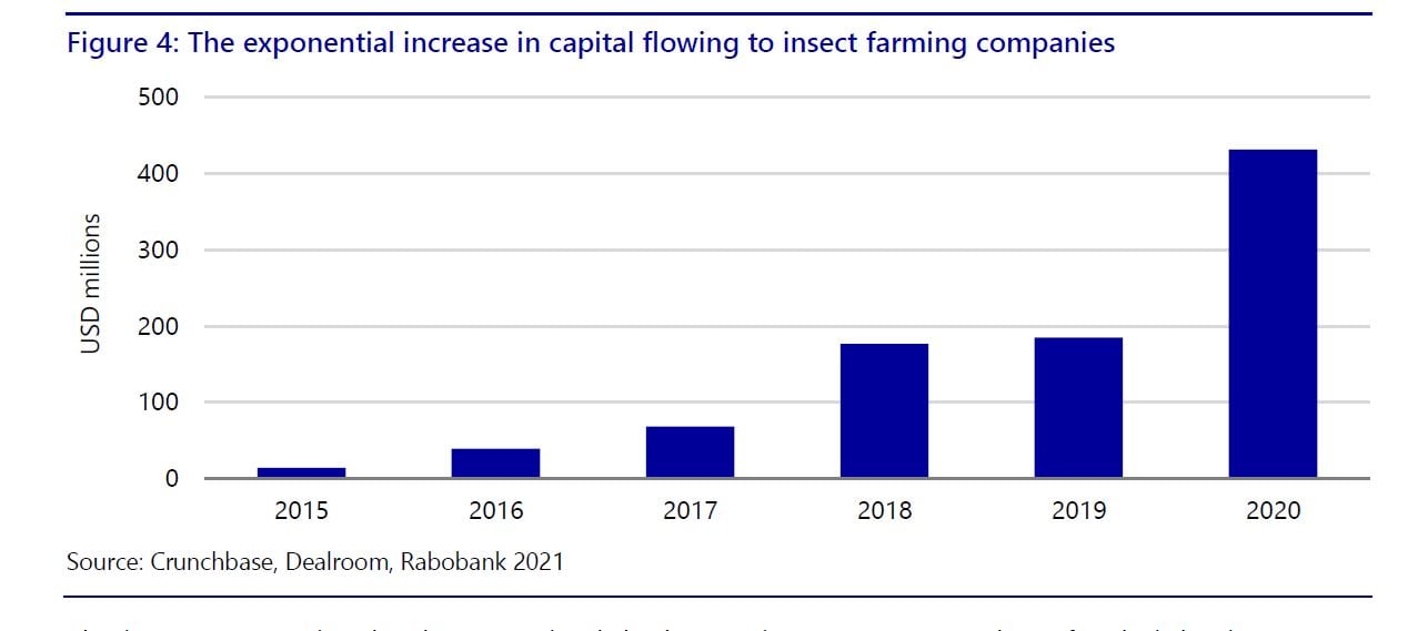investment-in-insects-raboresearch-2021.jpg