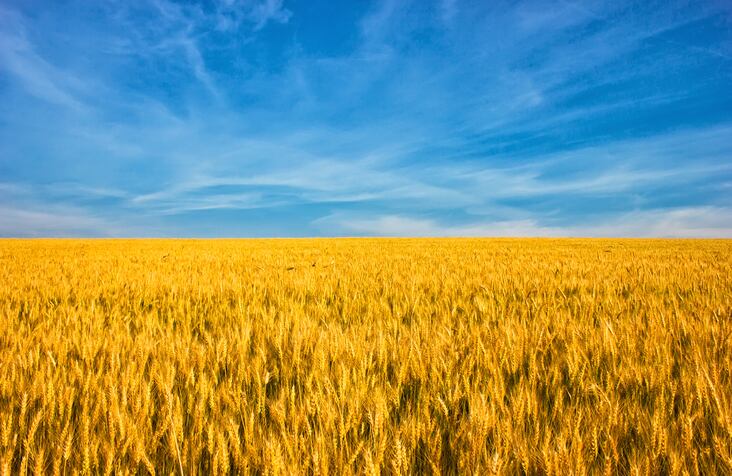 €50m ag decarbonisation fund eyes extra income for Ukraine’s war-torn farmers