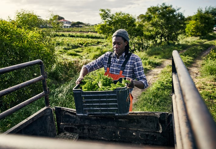 Smallholder farmers in Africa call for improved access to technology