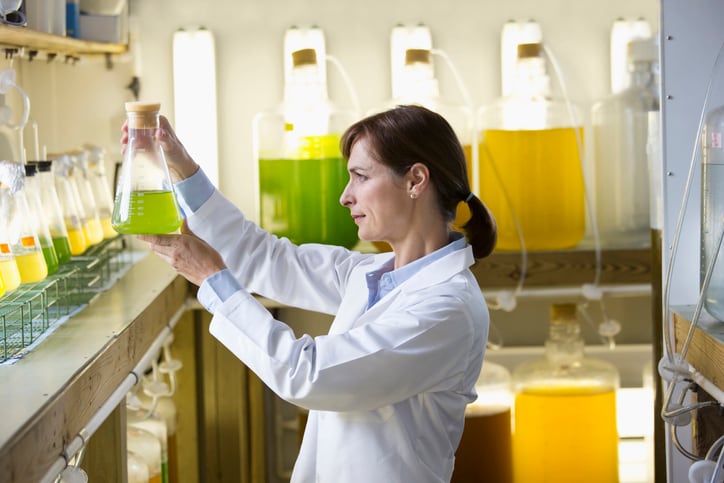Will $18.8m US goverment grant spur algae-derived feed and biofuel innovation?