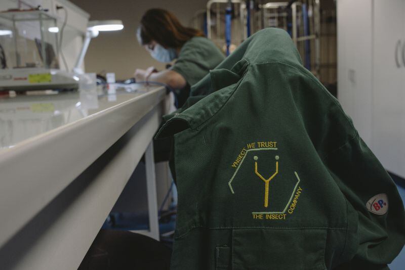 Ÿnsect’s collapse is a cautionary tale about scaling too aggressively in a nascent market