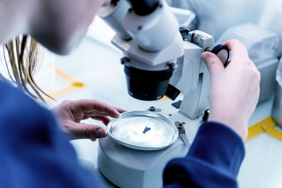 What-does-the-future-hold-for-the-insect-protein-industry.jpg