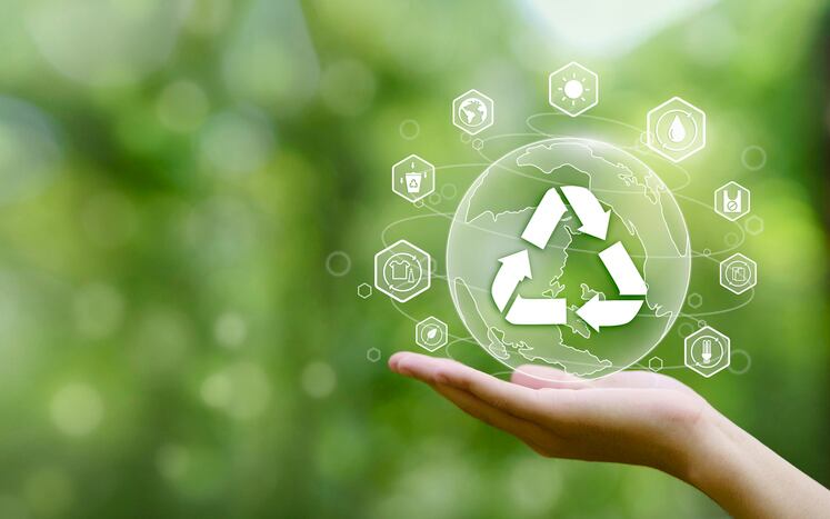 Is compostable plastic really the green alternative we think it is?