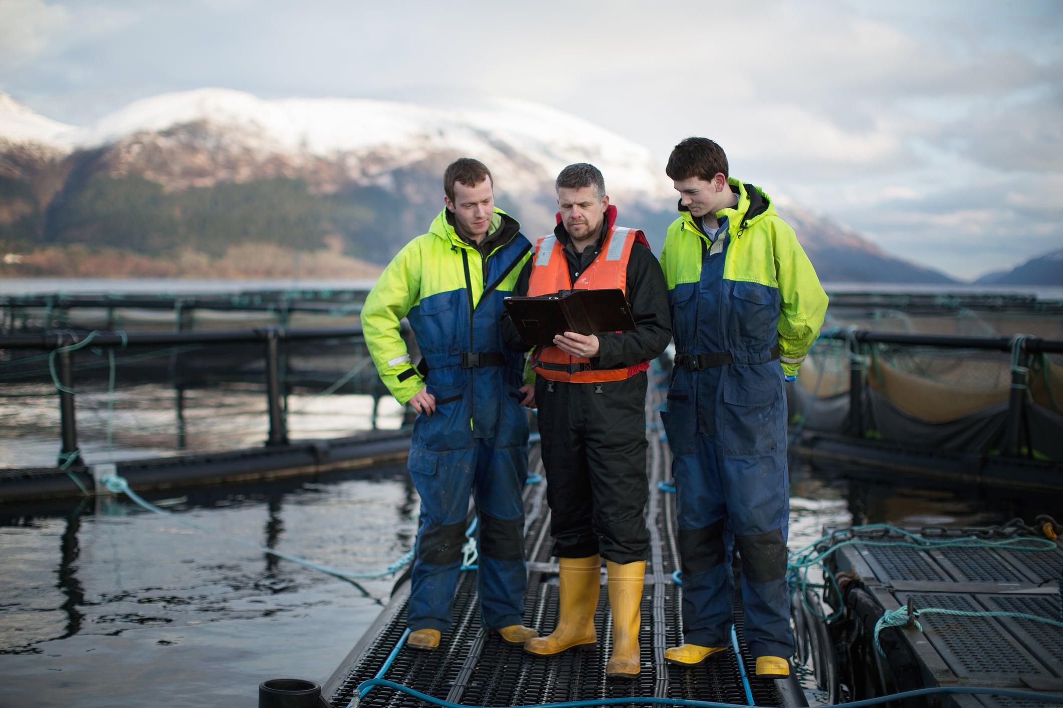 ‘Small but high-potential’: Kiwi aquatech to help grow global NZ agtech presence
