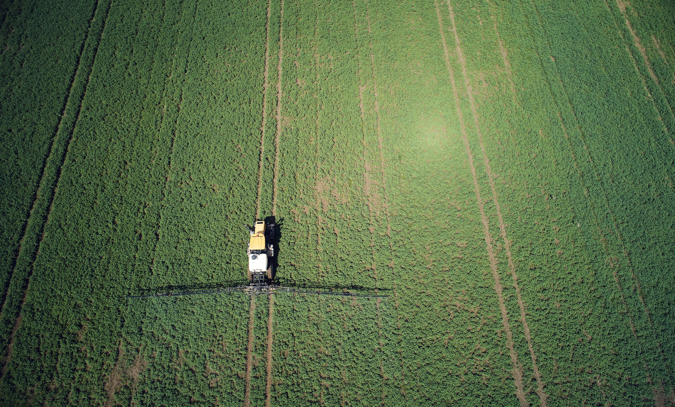 Spin-out unveils carbon nanodot tech to ‘unlock full potential’ of RNA-based crop protection