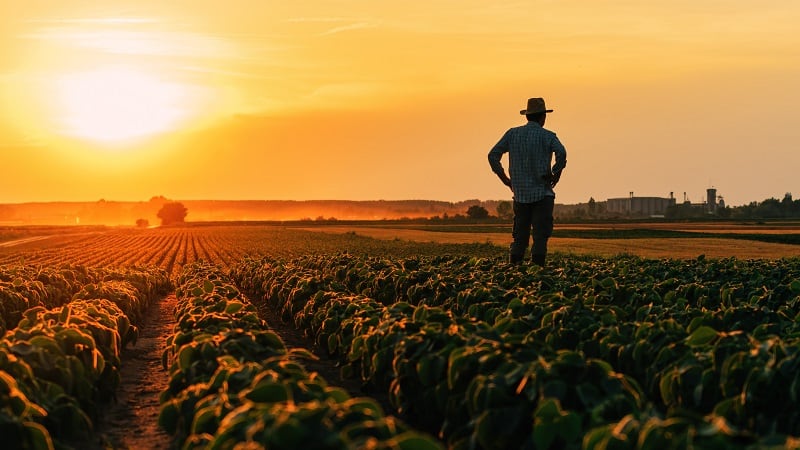 Ag biologicals are a pivotal tool in the move to a more sustainable form of farming.