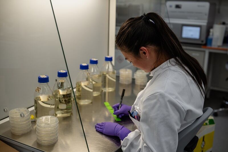 Replaying the tape of evolution: The Wild Bio platform deciphers hundreds of millions of years of plant evolution to identify promising genetic improvements from wild species. These evolutionary innovations are then used to guide precision breeding strategies for modern elite crop varieties.