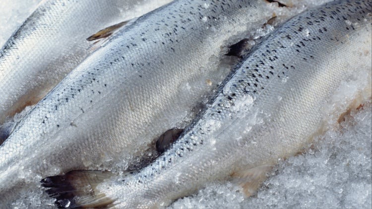 Going green key for Vietnam to unlock EU seafood opportunities - MAE