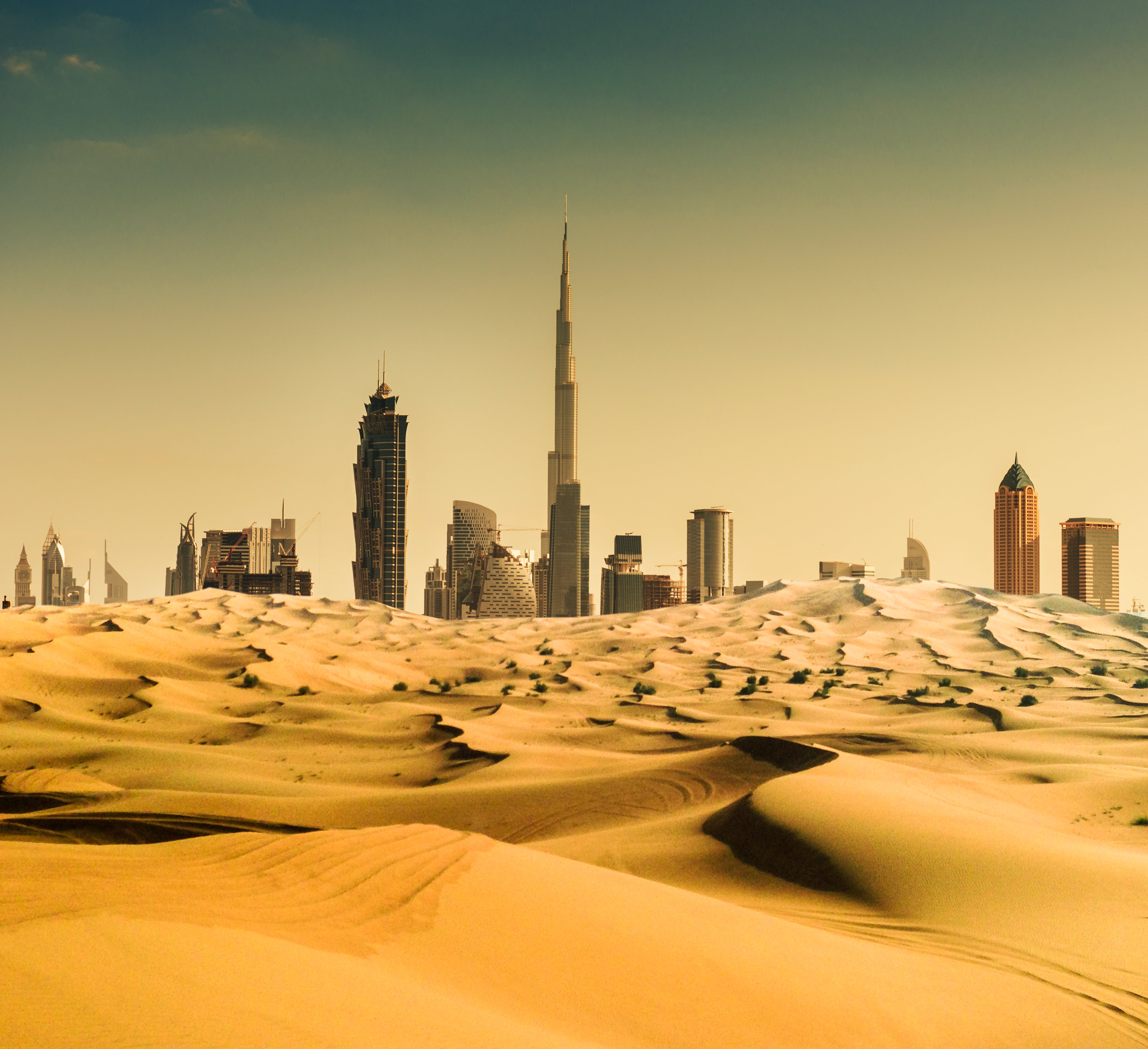 Bayer and Silal advance their innovation partnership in the UAE 