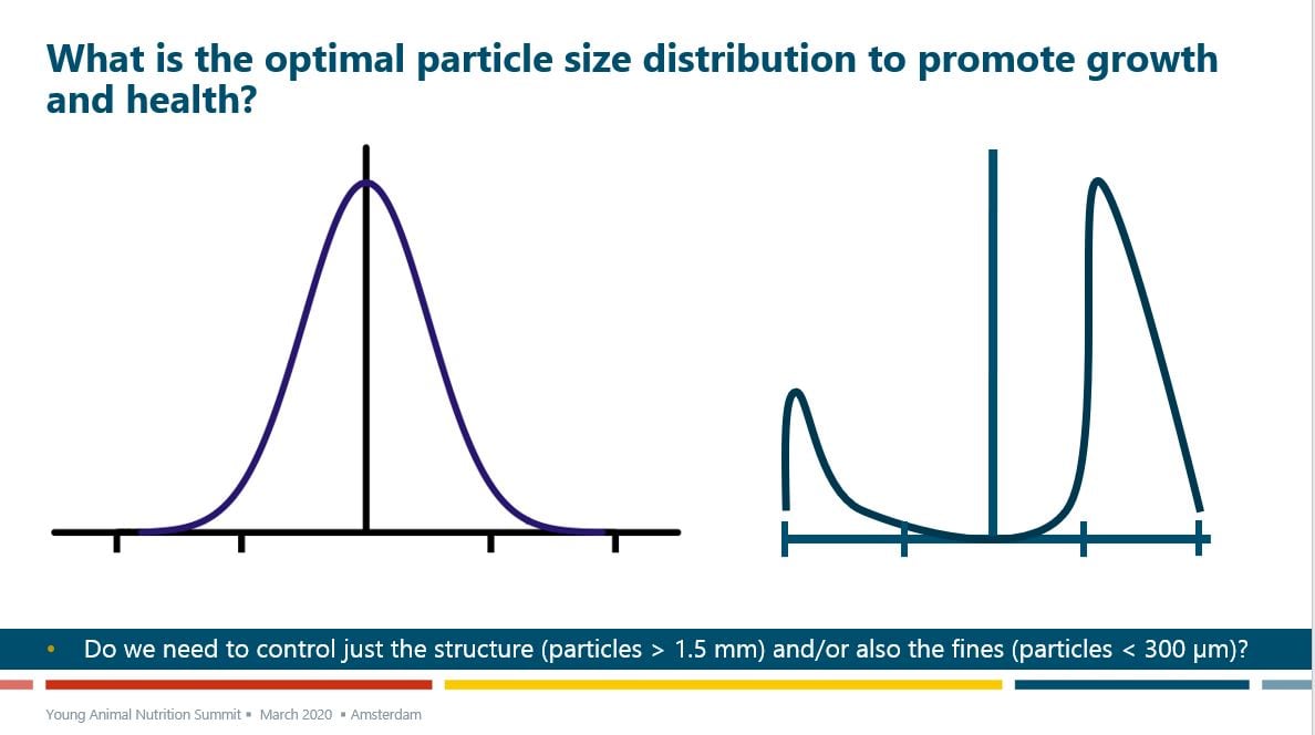 particle-size.jpg