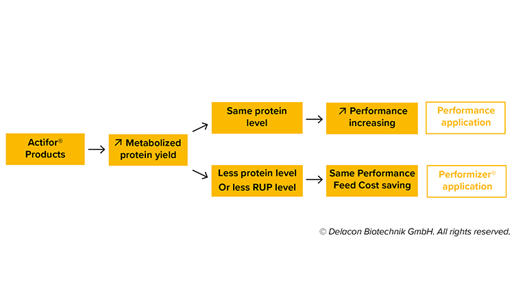 6-_-Actifor-C-products-utilization-in-diets.png
