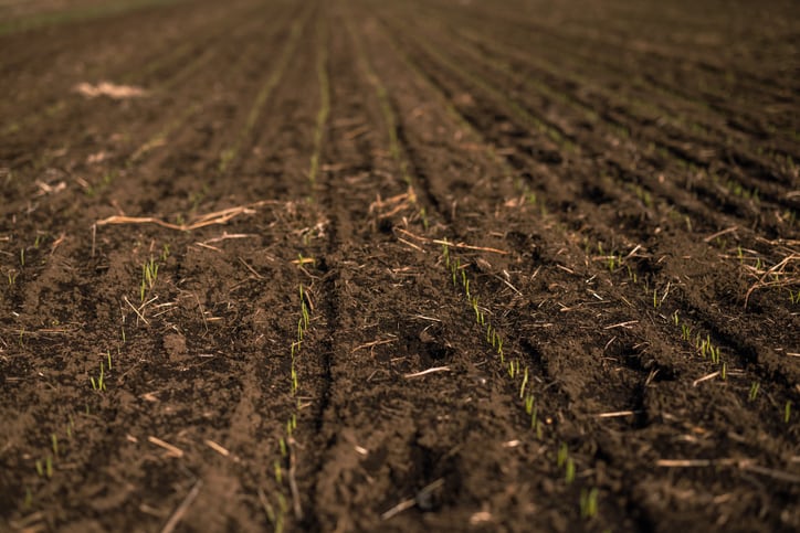Danish soil carbon start-up Agreena scales its carbon farming platform across two million hectares