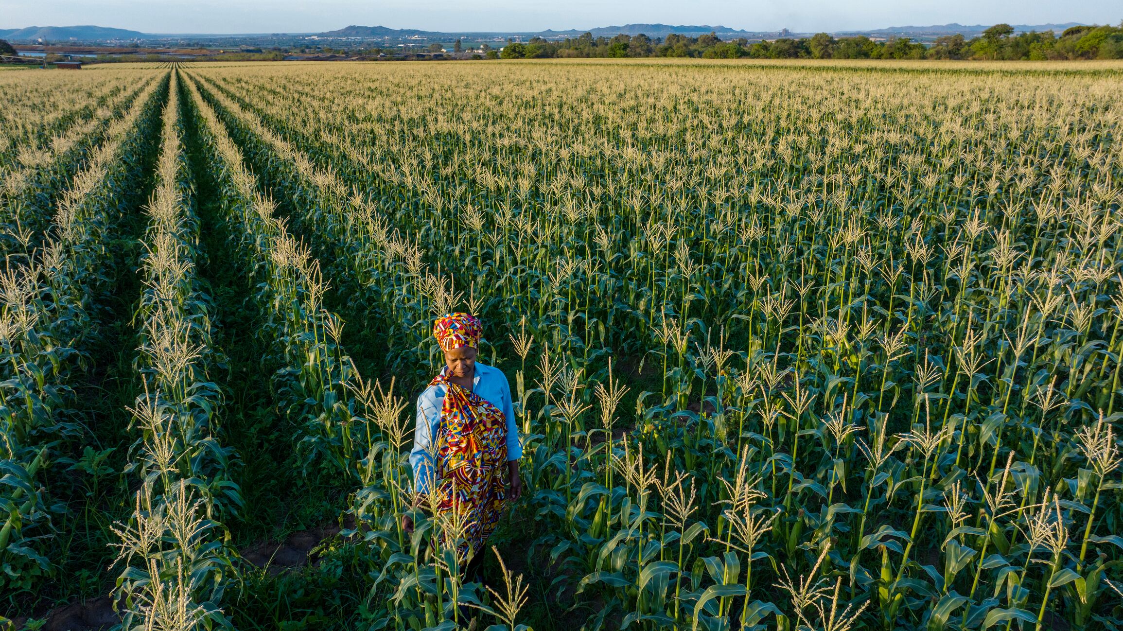 Smallholder farmers produce a significant share of the world’s food but are among the most vulnerable to external shocks.