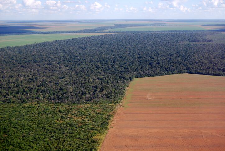 Norwegian-salmon-farmers-kiss-Brazilian-soy-goodbye.jpg