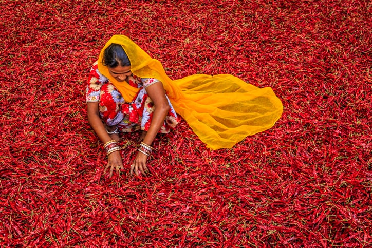16th-ASC-unveils-urgent-need-for-innovation-to-drive-agri-food-sustainability-in-India.jpg