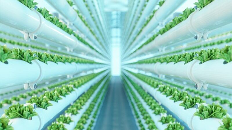 ‘The brain’ of agtech: Siemens, Artisan Green highlight Singapore’s major vertical farming potential