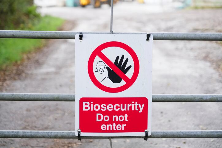 AFIA: Good biosecurity essential for tackling ASF 