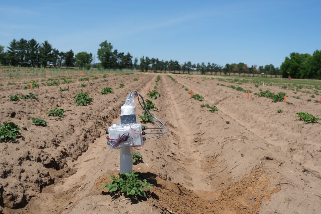 Printed sensors in soil could help farmers improve crop yields and save money