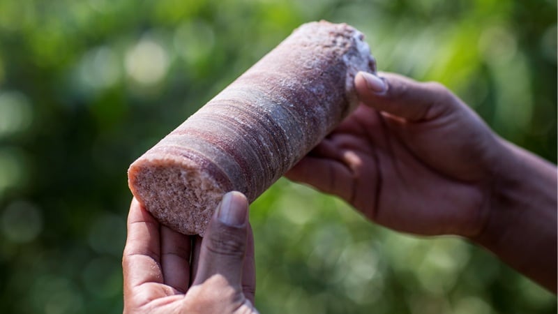 A sample of potash taken from the site of Brazil Potash's Autazes Project.