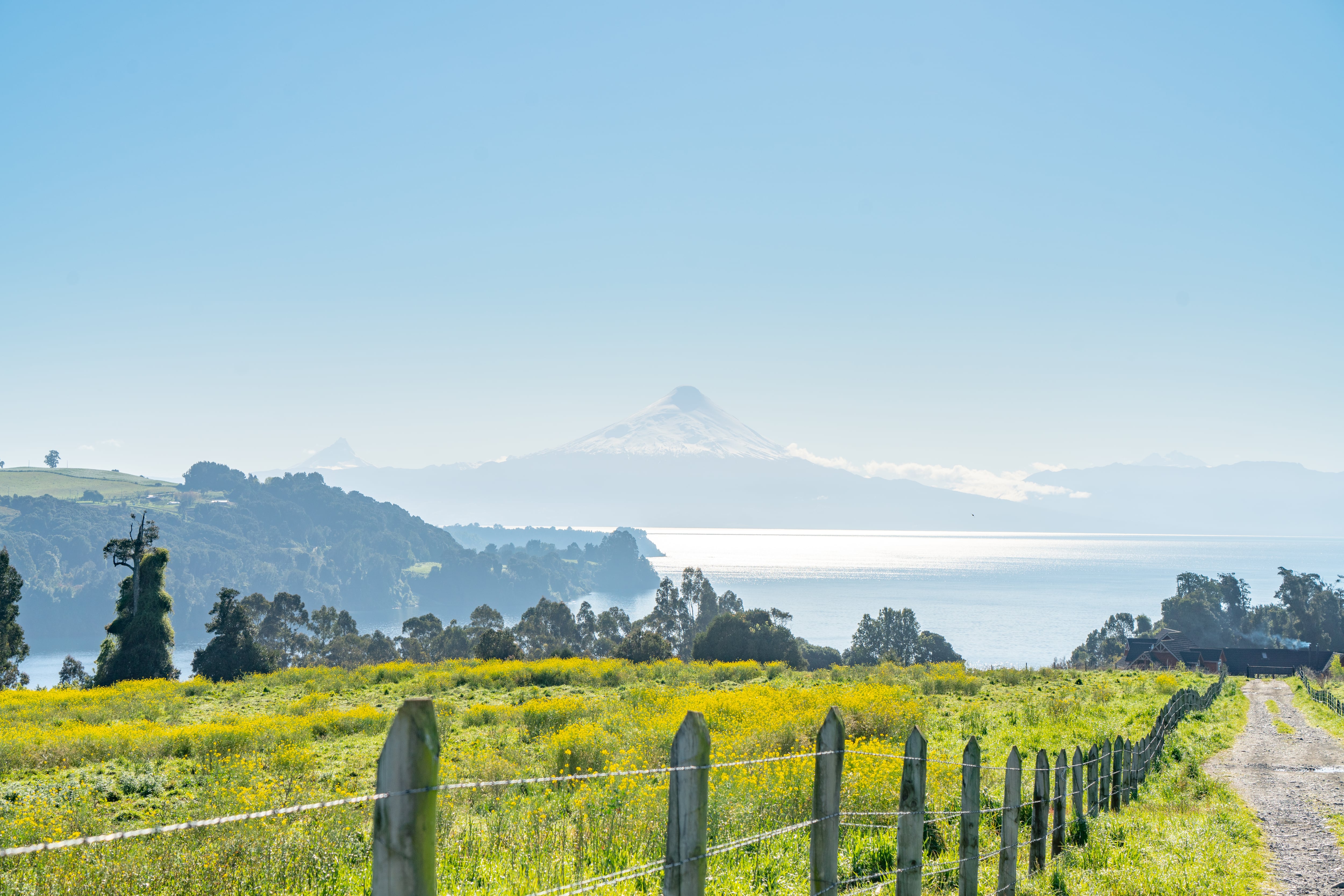 $350M regenerative agriculture investment fund unveiled in Latin America