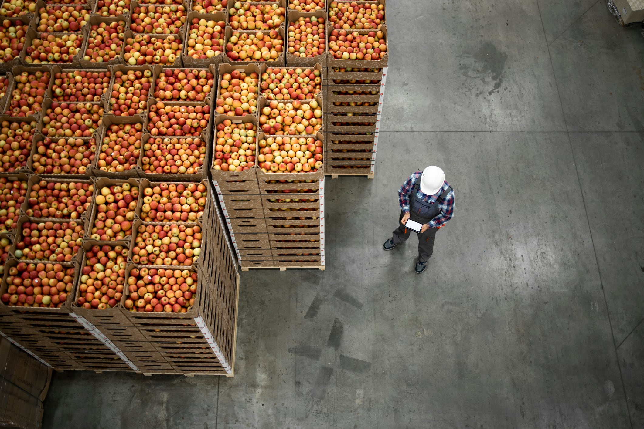 Biotalys joins forces with AgroFresh to develop biological solutions to reduce food waste