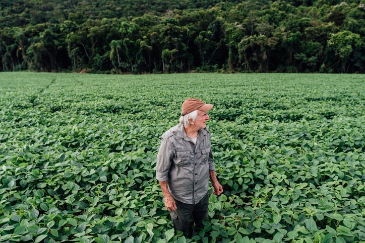 Regenerative agriculture is emerging as a key solution to meet the challenges facing the agricultural sector in terms of mitigating its carbon footprint and environmental impact, according to experts