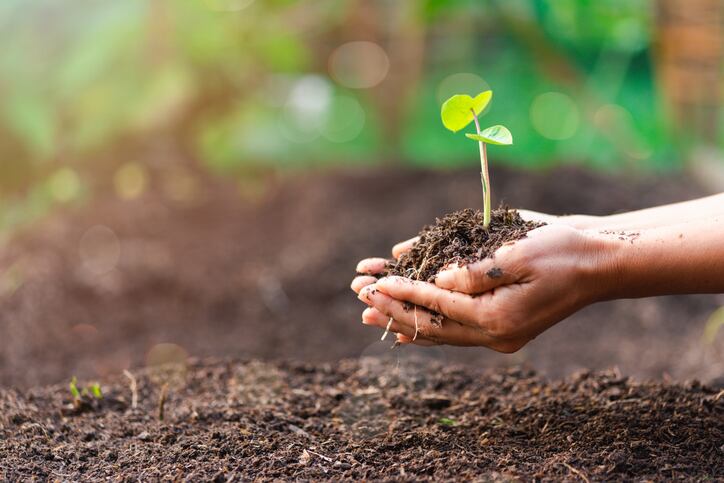 Food system transformation could create ‘multi-trillion dollars’ of economic benefits every year