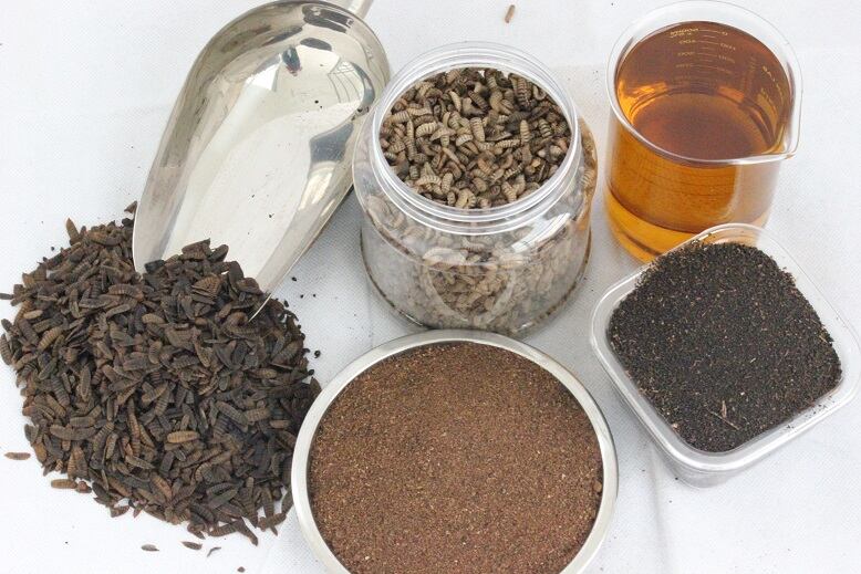 Southeast Asia’s largest insect production facility to go live in 2020