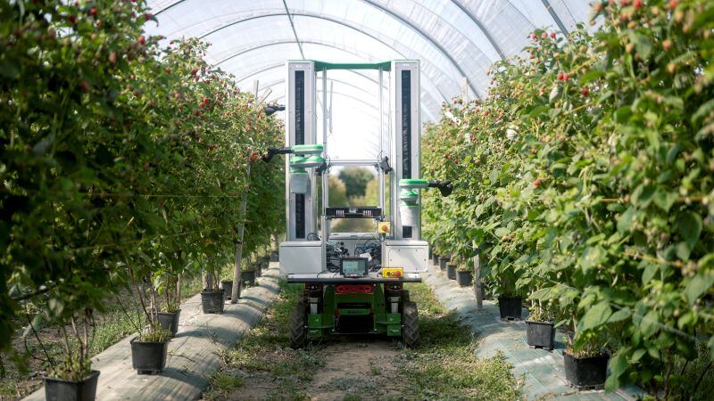 Fieldwork says investment will be used to accelerate farm adoption of its autonomous harvesting technology and transition from the technology validation stage to commercial trials.