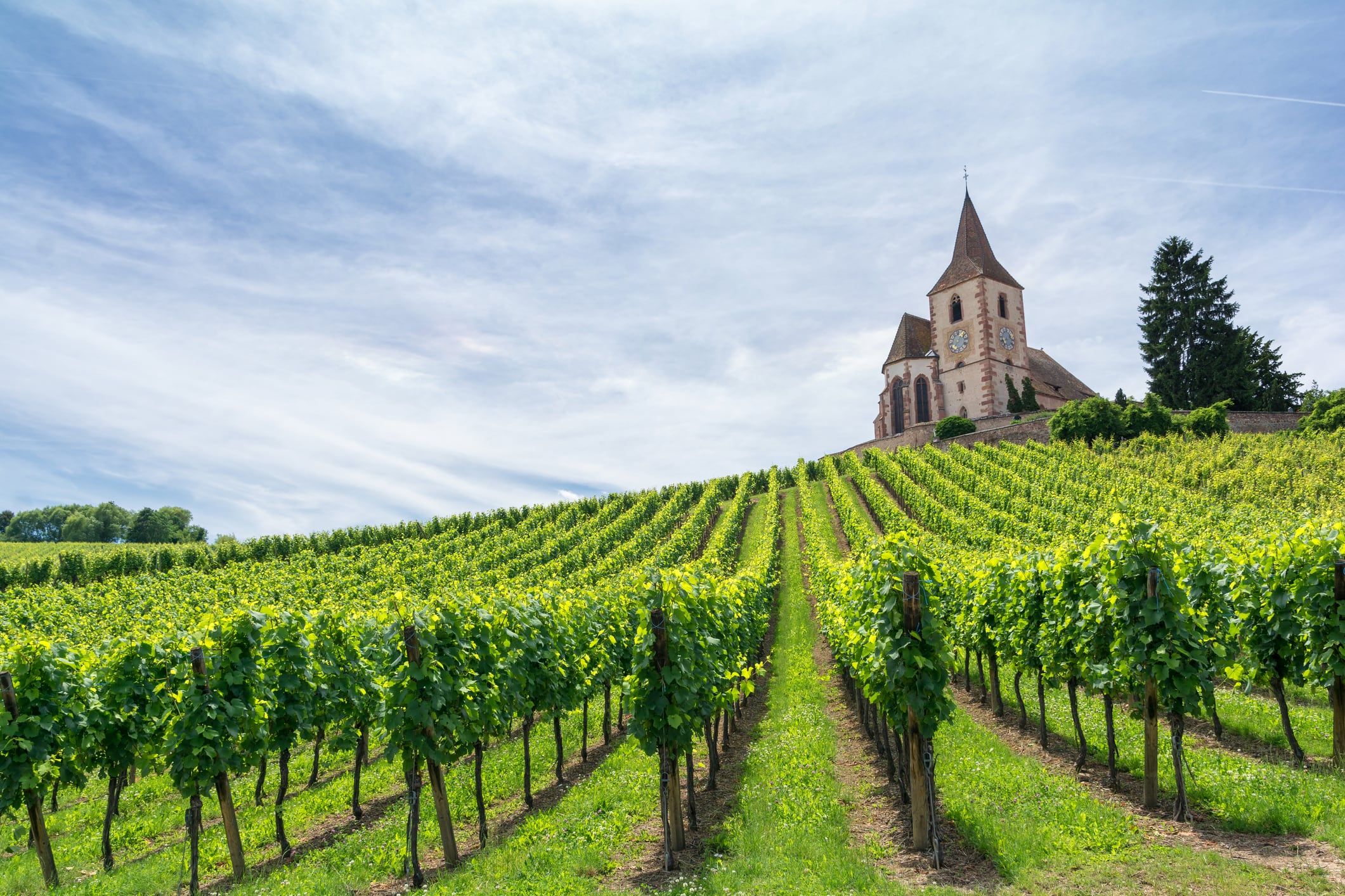 Insurance to protect French winemakers from the risks of adopting sustainable practices are amoung the products being developed by AXA Climate.