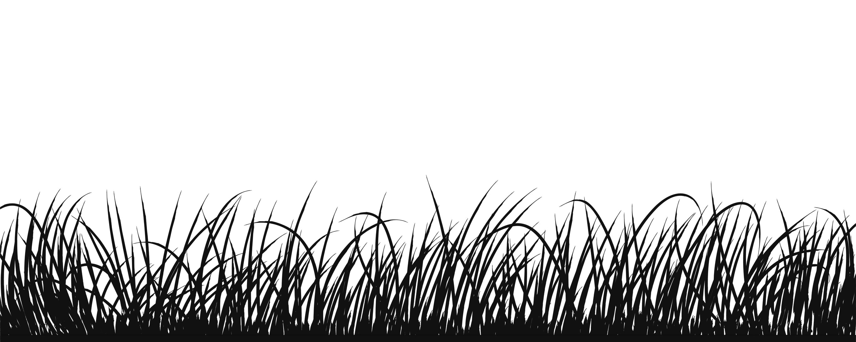 Moa steps up hunt for 'safe, effective and affordable' biological herbicide, image size:2738x1095