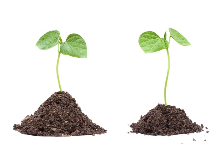 BioMar to source ‘low-impact’ soy from US supplier Benson Hill