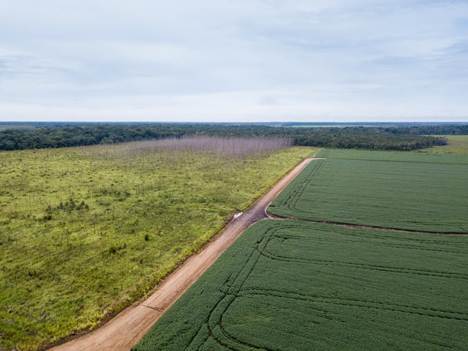 Legal complaint filed against Cargill over alleged deforestation and human rights failings in Brazil