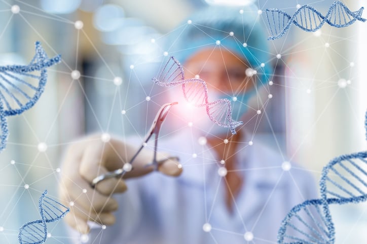 Will the new UK government embrace gene-edited food?