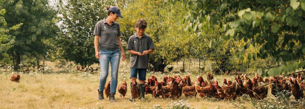 The-importance-of-a-healthy-gut-in-poultry-for-full-potential.jpg